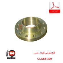 لیست قیمت فلنج جوشی گلودار CLASS 300 ملسی (Melesi)